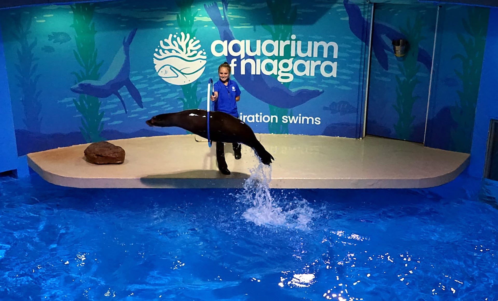 Photo of a performance at Aquarium of Niagara, Niagara Falls, NY, USA