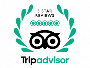 Trip Advisor 5 Stars
